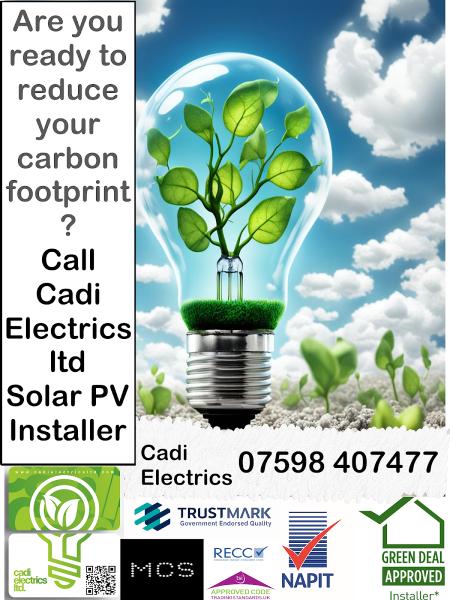 Cadi Electrics Ltd