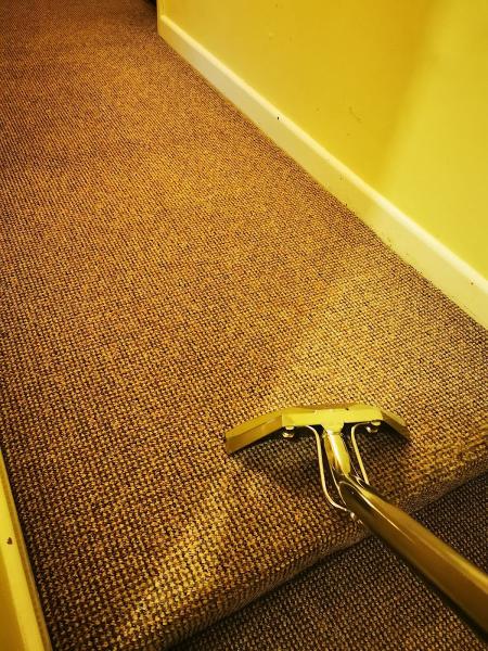 Otter Carpet Cleaning