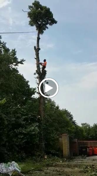 Lancashire Tree Surgeons