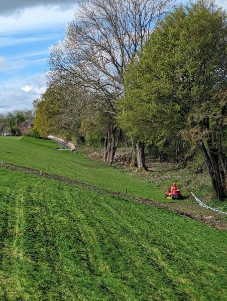 Dynamic Grounds Maintenance