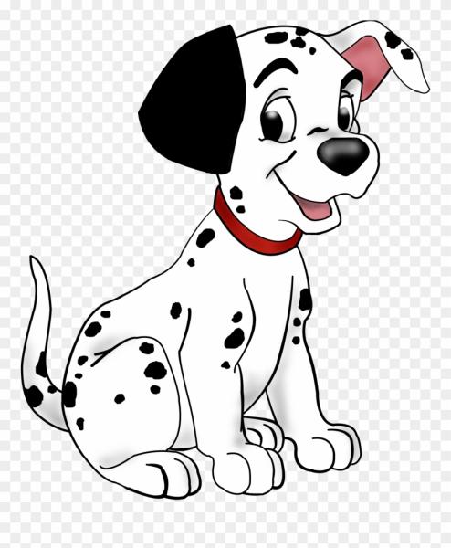 Spotless Window Cleaning Service