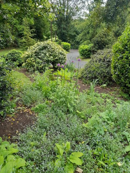 Garden Manicure Garden Services