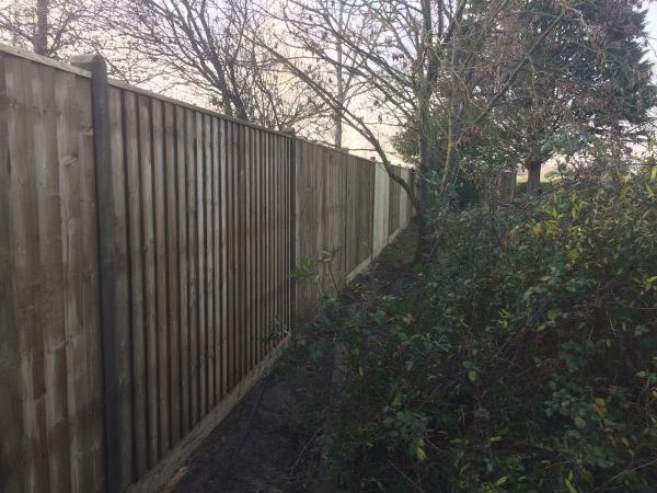 All in 1 Fencing Ltd