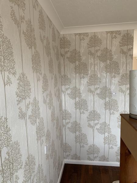 M.A. Painting&decorating Services