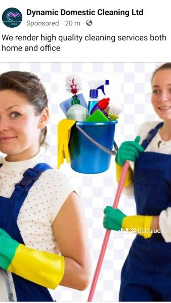 Dynamic Domestic Cleaning Ltd (Ddc)