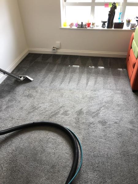 Williams Carpet Cleaning Sussex