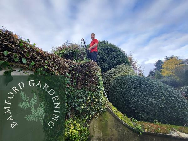 Bamford Gardening
