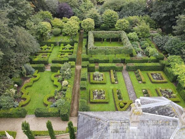 Allium Gardeners