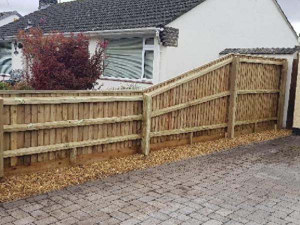 Lewis Fencing