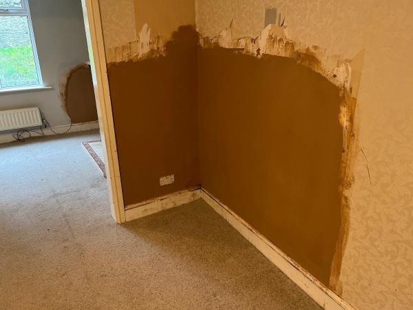 Dry Fast Damp Proofing