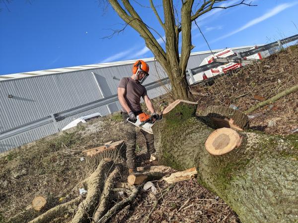 Saxon Tree Specialists Limited