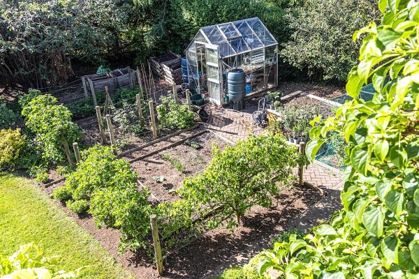 Nick Boden Professional Garden Care