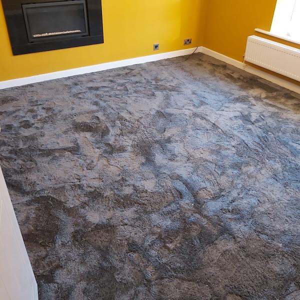 Trendy Carpets & Laminate