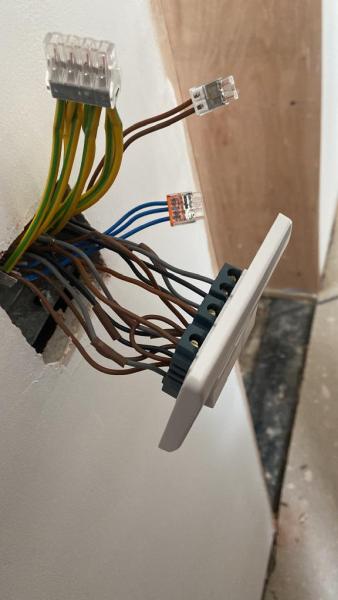 Conducive Electrical