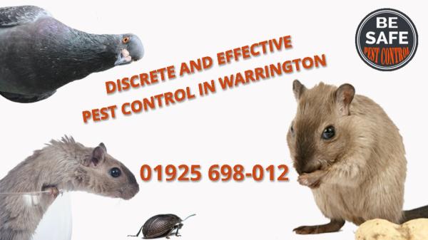 Be Safe Pest Control