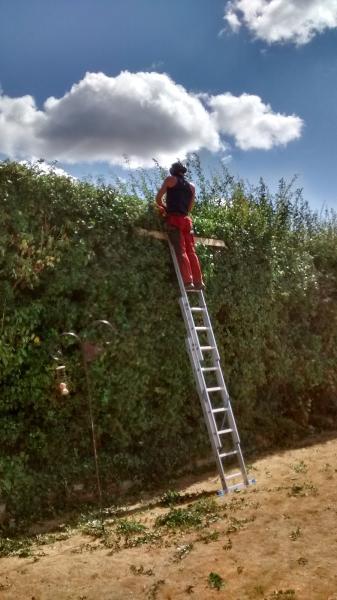 Fleur's Garden and Tree Services