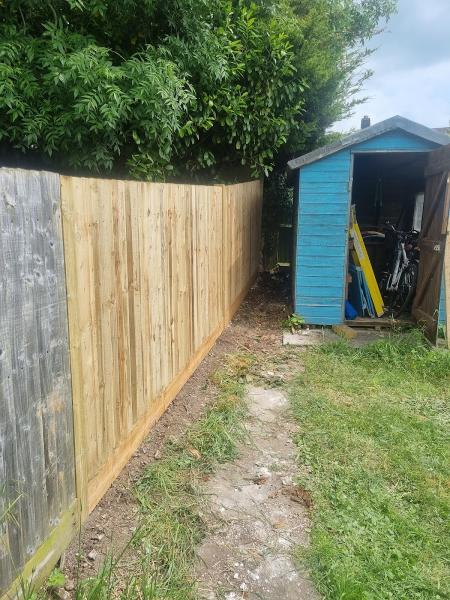 Affordable Fencing