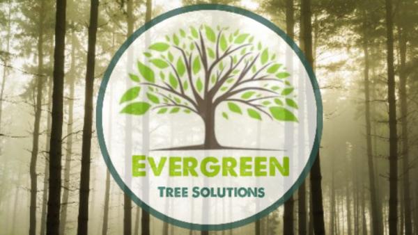 Evergreen Tree Solutions