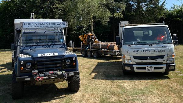 Herts & Essex Tree Care