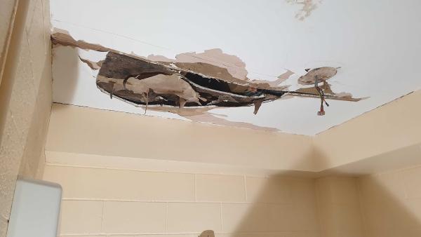 Dixons Plastering Specialists