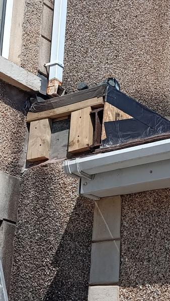Pioneer : Dampproofing Contractors and Surveyors