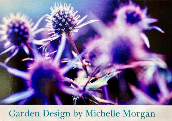 Garden Design By Michelle Morgan