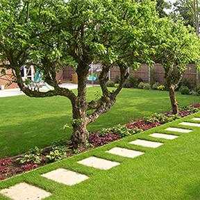 Andy Gardner Specialist Tree Care & Landscapes