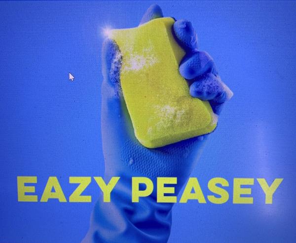 Eazy Peasey Cleaning