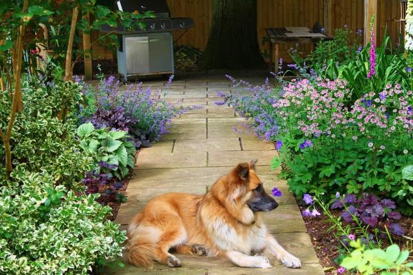 Oxford Garden Guru