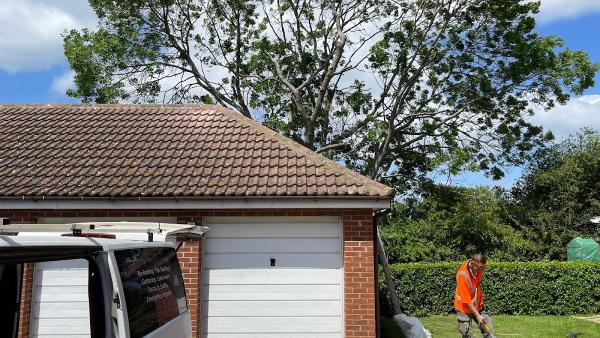 Cherry Roofing