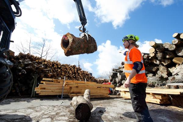 Greater Manchester Treestation Ltd