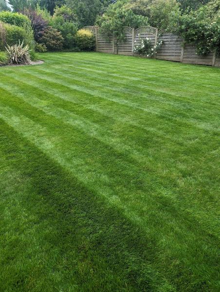 Pitch Perfect Lawns