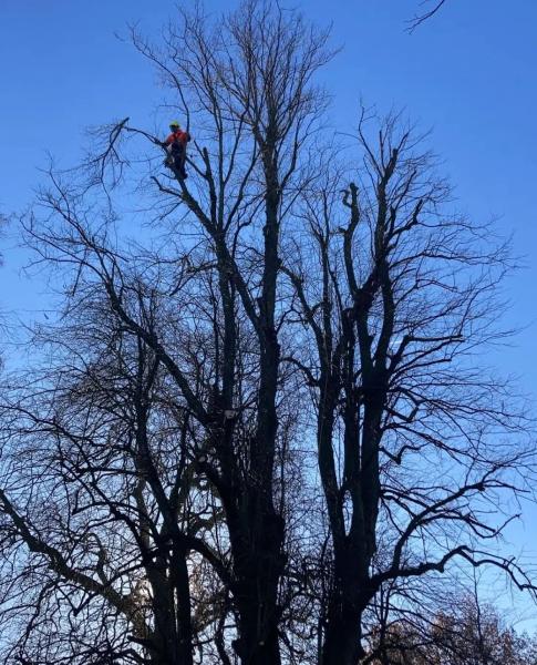 Roots and Roosts Ltd