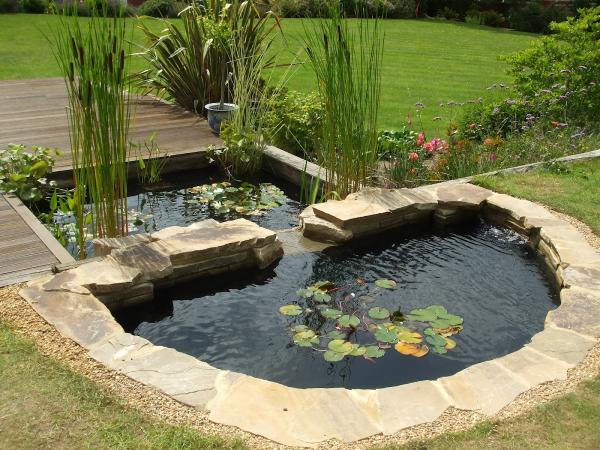 Aquajoy Water Gardens Ltd