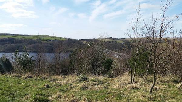 Colne Valley Skip Hire