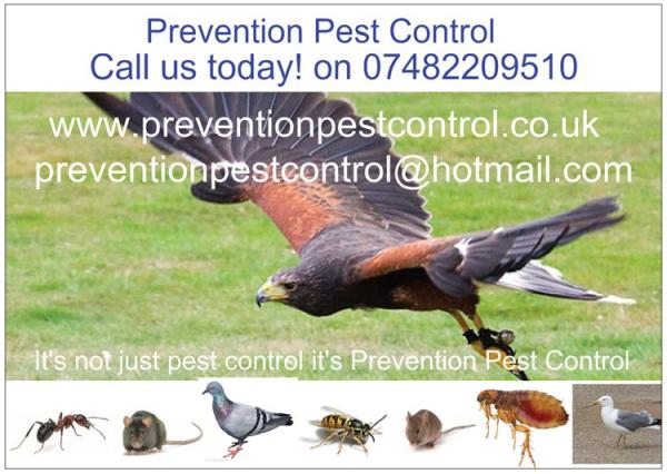 Prevention Pest Control & Property Maintenance