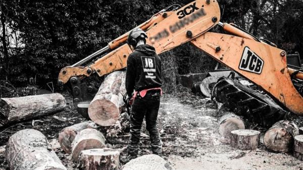 Worcestershire Tree Surgery