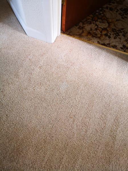 DC Carpet Cleaning Ltd
