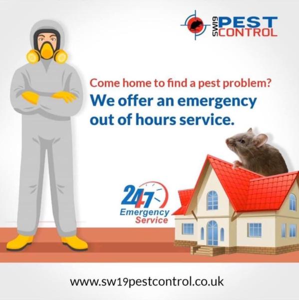 SW19 Pest Control