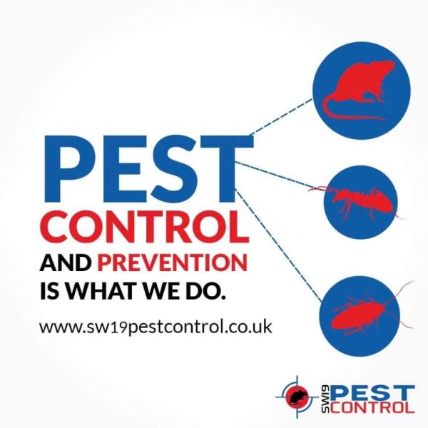 SW19 Pest Control Service Wimbledon