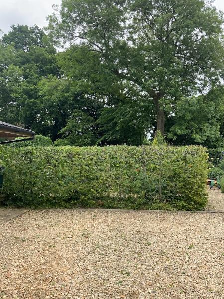 Branching Out Oxford