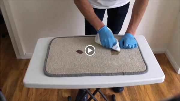 Modestra Ipswich Carpet Cleaning