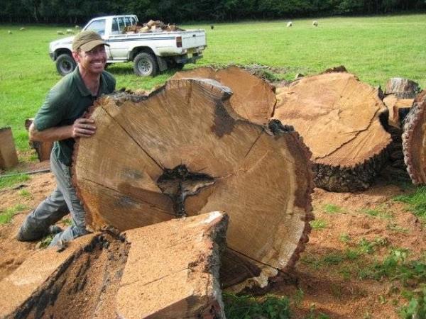 Barrett Tree Service