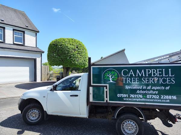 Campbell Tree Services