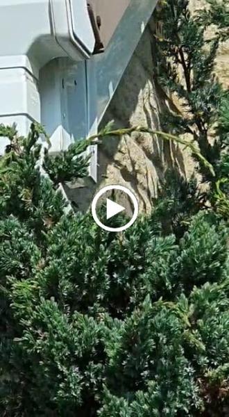 Anston Pest Control Ltd