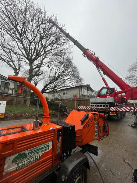 South Hams Arborists