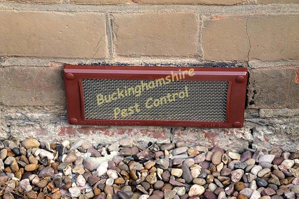 Buckinghamshire Pest Control