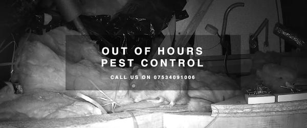 TMR Pest Control