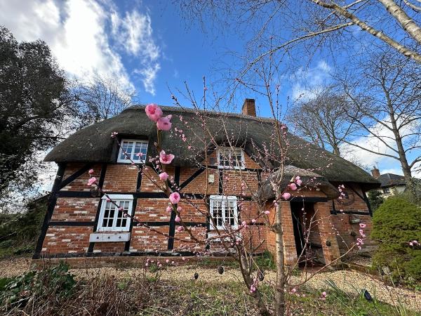 Tembo Cleaning Services Limited