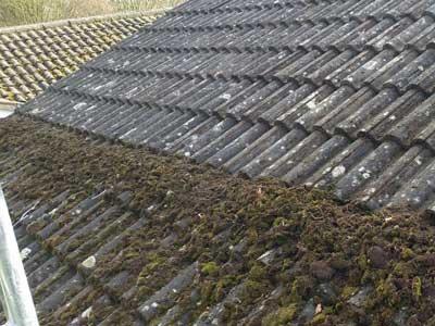 Moss Removal & Gutter Cleaning Services Lincolnshire